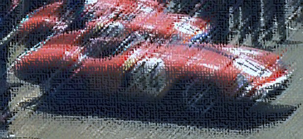 MODELART111 - 17.1 : 750 monza #0504 Le mans 1955 with engine
